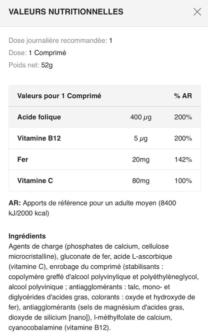 FER / IRON PROFESSIONNELLE